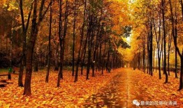 秋天妈妈最新的爆料文案,最新爆料文案大曝光！